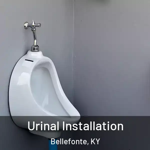  Urinal Installation Bellefonte, KY