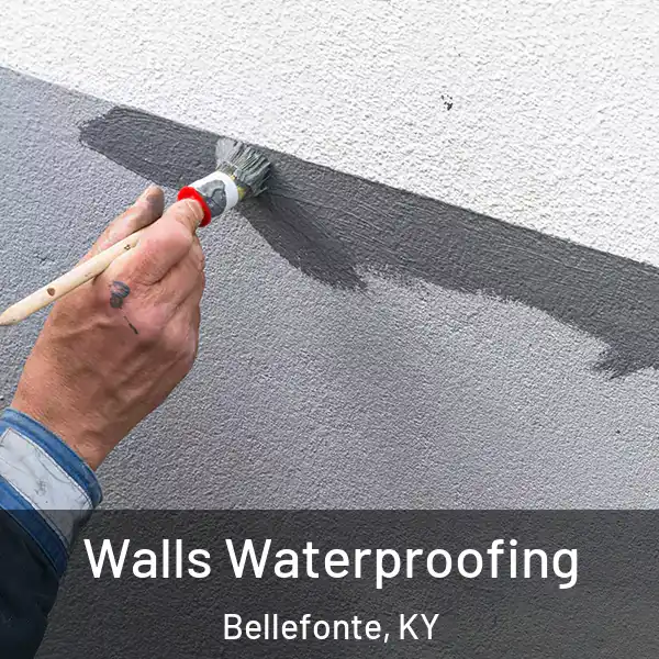  Walls Waterproofing Bellefonte, KY