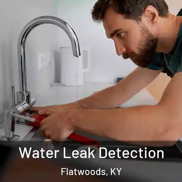  Water Leak Detection Flatwoods, KY