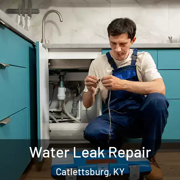  Water Leak Repair Catlettsburg, KY