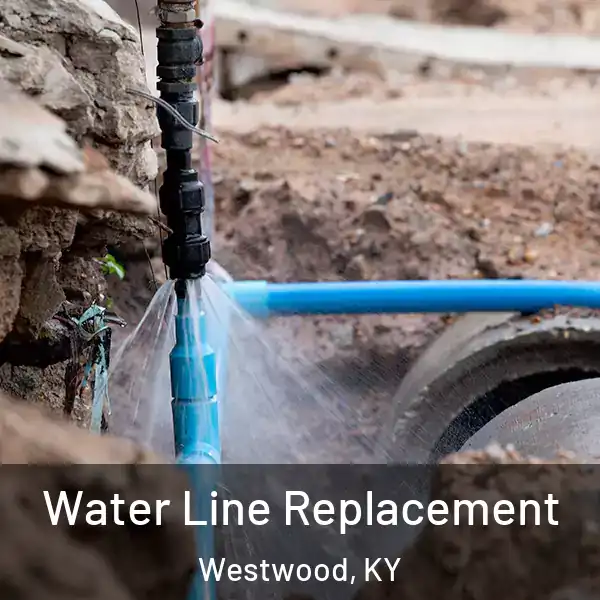 Water Line Replacement Westwood, KY