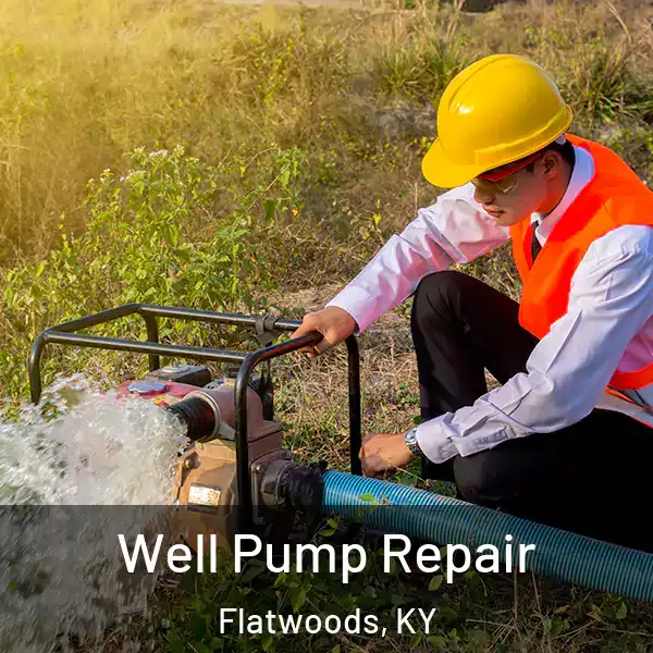  Well Pump Repair Flatwoods, KY