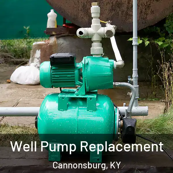  Well Pump Replacement Cannonsburg, KY